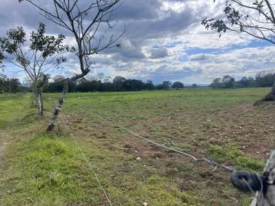 Finca ganadera en venta de 180 hectáreas planas en Las Delicias de Bijagua de Upala, Costa Rica, photo 9