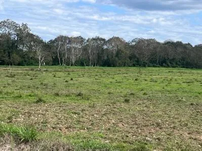 Finca ganadera en venta de 180 hectáreas planas en Las Delicias de Bijagua de Upala, Costa Rica, photo 10