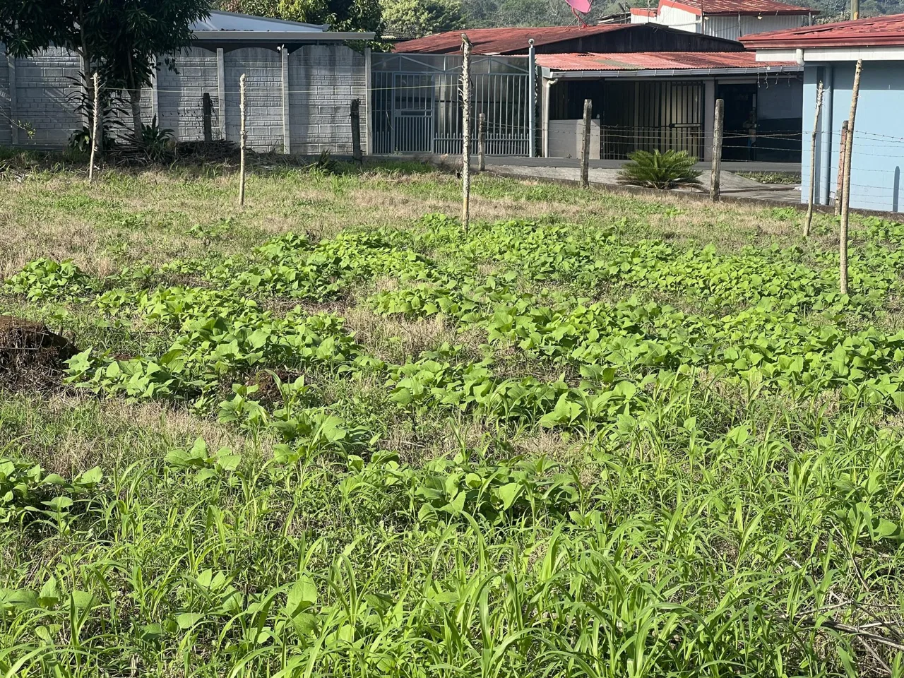 Lote en Venta en San Miguel ,Naranjo, photo 3
