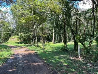 Tortuga Abajo Lot, Just before Ojochal., photo 6