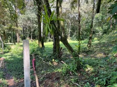 Tortuga Abajo Lot, Just before Ojochal., photo 7