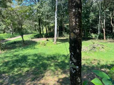 Tortuga Abajo Lot, Just before Ojochal., photo 9