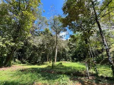 Tortuga Abajo Lot, Just before Ojochal., photo 10