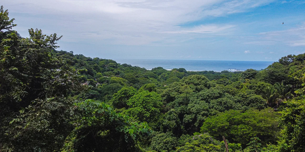 Section D Nosara Oceanview Land