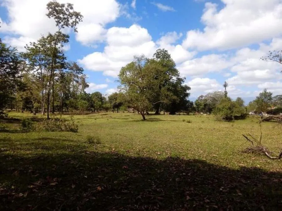 Venta de Lote en Toro Amarillo, Pococí. - Venta en Pococí