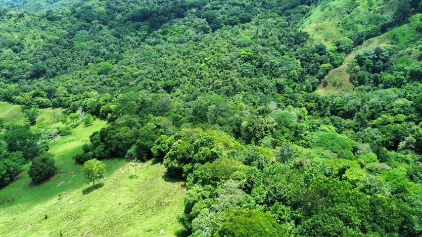 Venta de Lote en Mercedes Sur, San José. RAH 26-277 - Venta en Puriscal