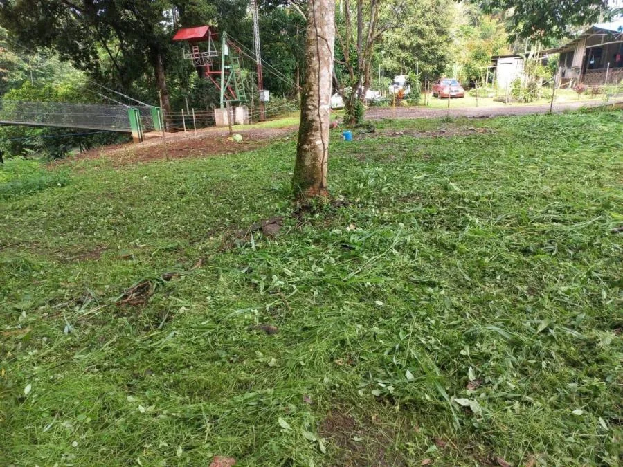venta de lote en heredia canton sarapiqui - Venta en Sarapiquí