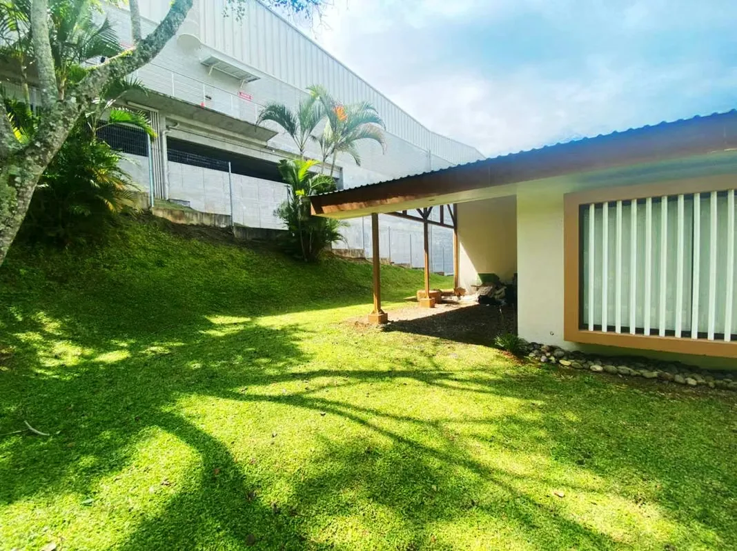 Terreno en venta con almacén y casa en Guayabos, photo 2