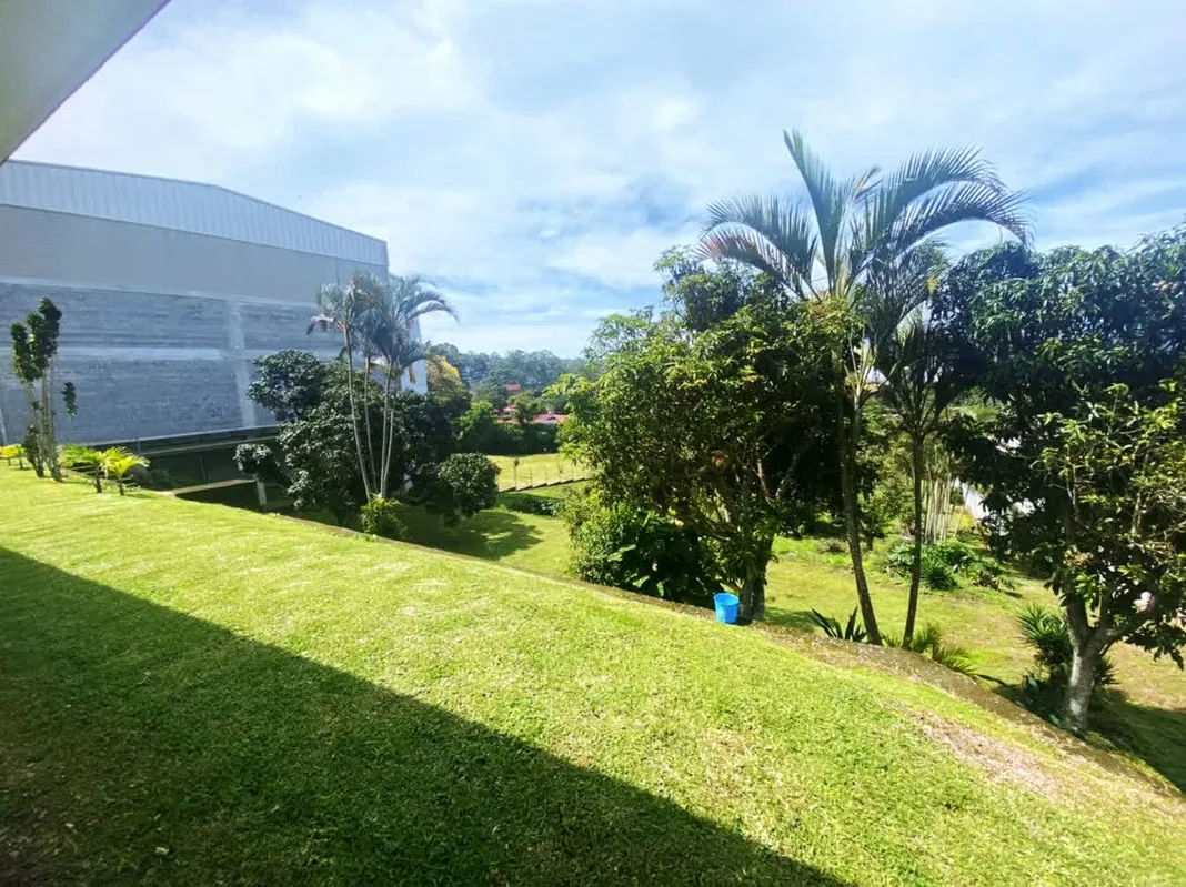 Terreno en venta con almacén y casa en Guayabos, photo 13