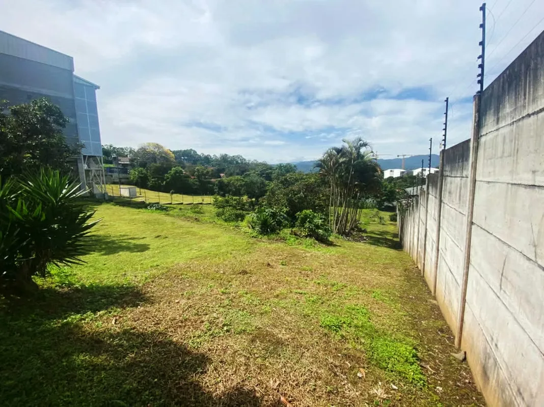 Terreno en venta con almacén y casa en Guayabos, photo 14