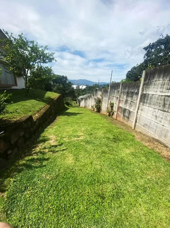 Terreno en venta con almacén y casa en Guayabos, photo 15
