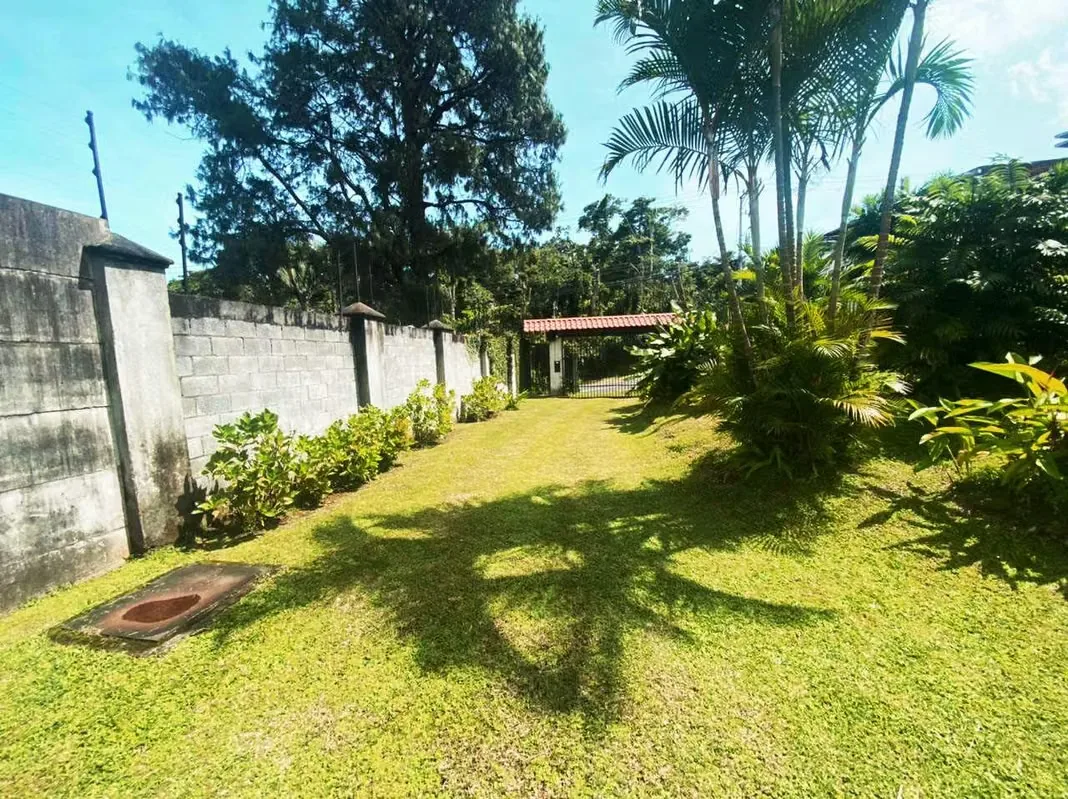 Terreno en venta con almacén y casa en Guayabos, photo 16