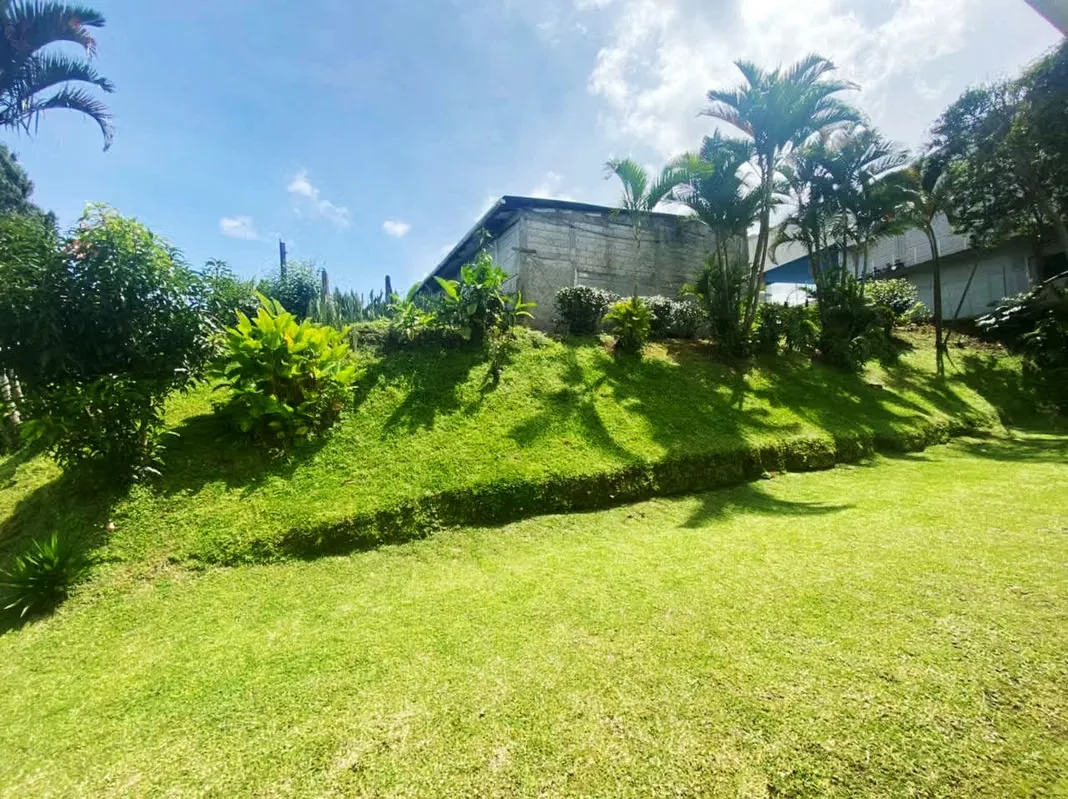 Terreno en venta con almacén y casa en Guayabos, photo 4