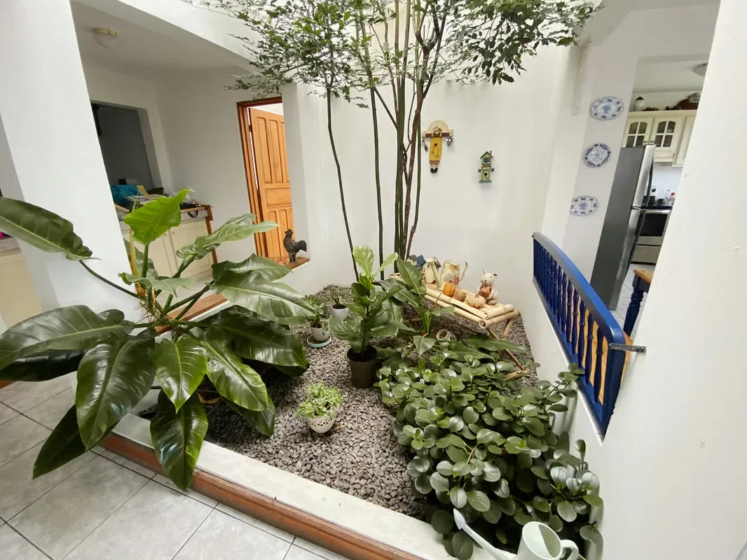 Terreno en venta con almacén y casa en Guayabos, photo 10