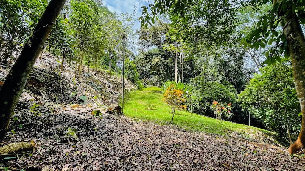 8.4 ACRE PROPERTY WITH COMMERCIAL AND RESIDENCIAL USE IN OJOCHAL, photo 13