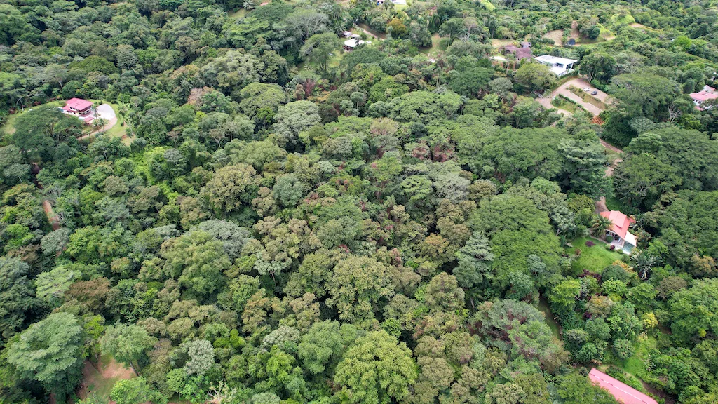 8.4 ACRE PROPERTY WITH COMMERCIAL AND RESIDENCIAL USE IN OJOCHAL, photo 14