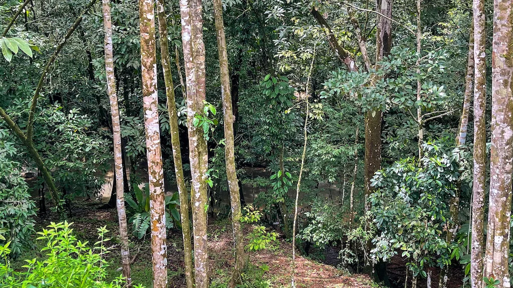 8.4 ACRE PROPERTY WITH COMMERCIAL AND RESIDENCIAL USE IN OJOCHAL, photo 15