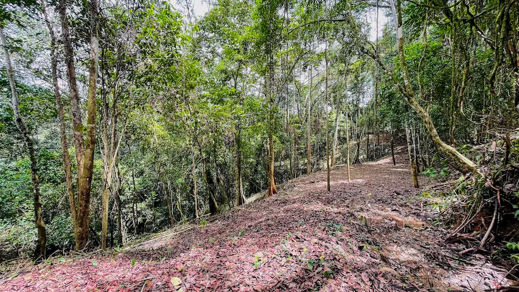 8.4 ACRE PROPERTY WITH COMMERCIAL AND RESIDENCIAL USE IN OJOCHAL, photo 16