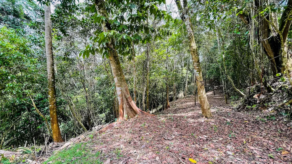 8.4 ACRE PROPERTY WITH COMMERCIAL AND RESIDENCIAL USE IN OJOCHAL, photo 17