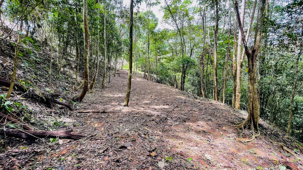 8.4 ACRE PROPERTY WITH COMMERCIAL AND RESIDENCIAL USE IN OJOCHAL, photo 18
