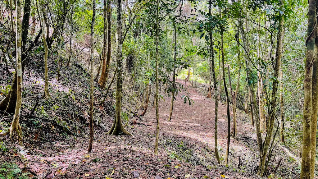 8.4 ACRE PROPERTY WITH COMMERCIAL AND RESIDENCIAL USE IN OJOCHAL, photo 19