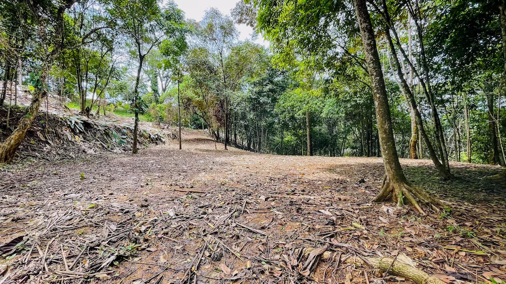 8.4 ACRE PROPERTY WITH COMMERCIAL AND RESIDENCIAL USE IN OJOCHAL, photo 3
