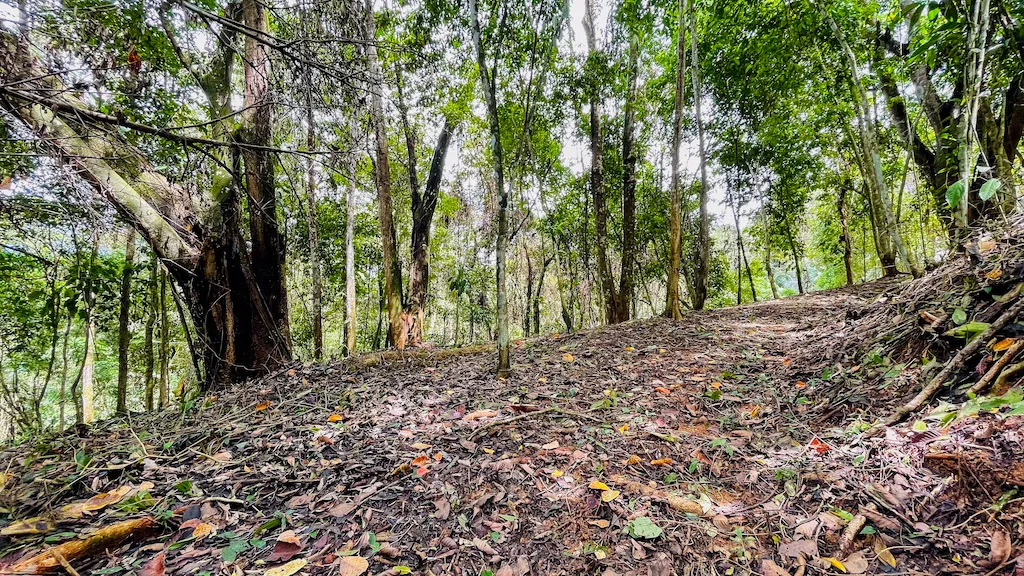 8.4 ACRE PROPERTY WITH COMMERCIAL AND RESIDENCIAL USE IN OJOCHAL, photo 21