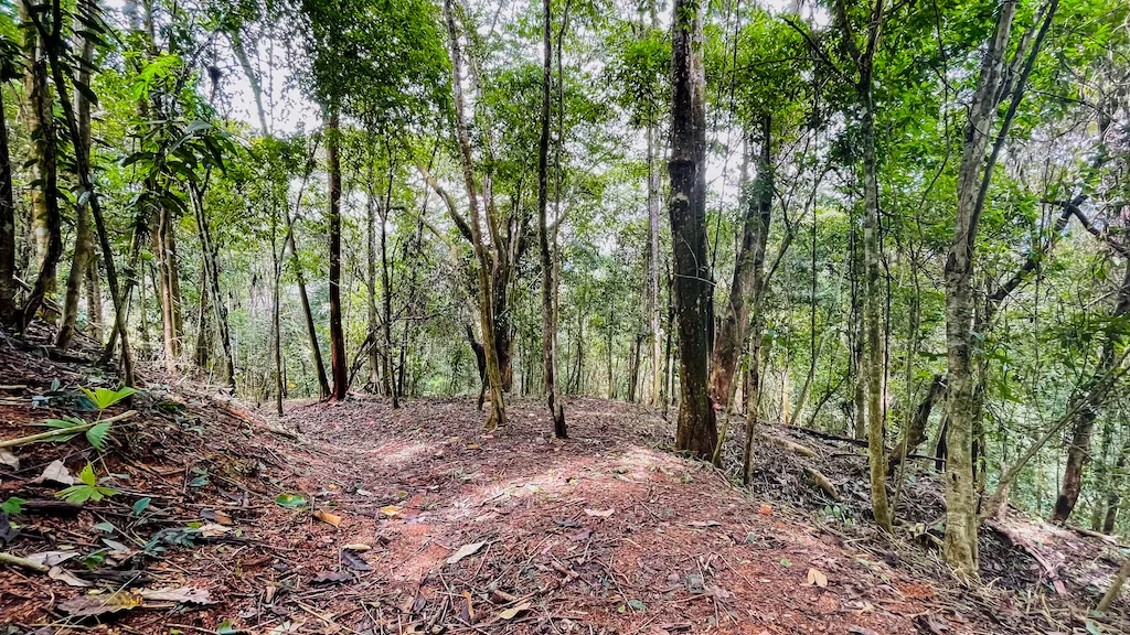 8.4 ACRE PROPERTY WITH COMMERCIAL AND RESIDENCIAL USE IN OJOCHAL, photo 22