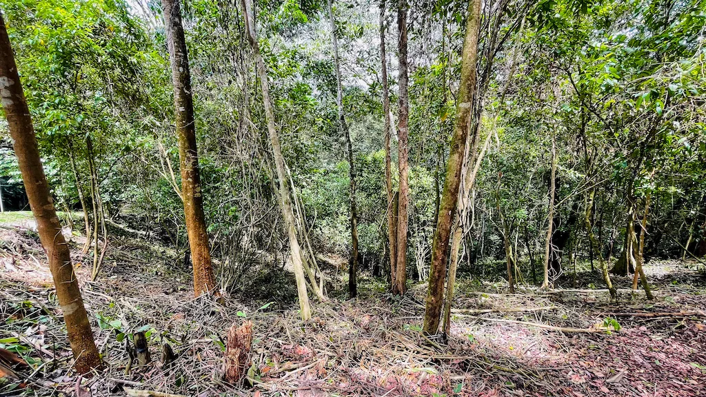 8.4 ACRE PROPERTY WITH COMMERCIAL AND RESIDENCIAL USE IN OJOCHAL, photo 24