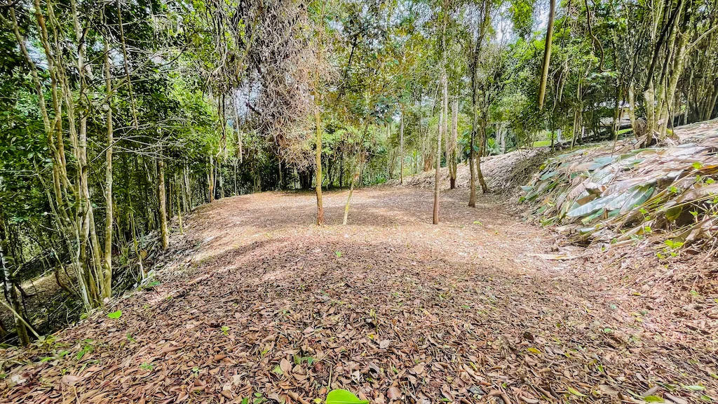 8.4 ACRE PROPERTY WITH COMMERCIAL AND RESIDENCIAL USE IN OJOCHAL, photo 4