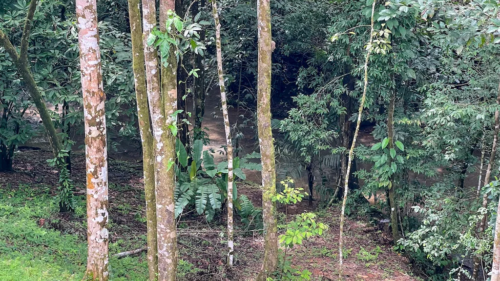8.4 ACRE PROPERTY WITH COMMERCIAL AND RESIDENCIAL USE IN OJOCHAL, photo 5