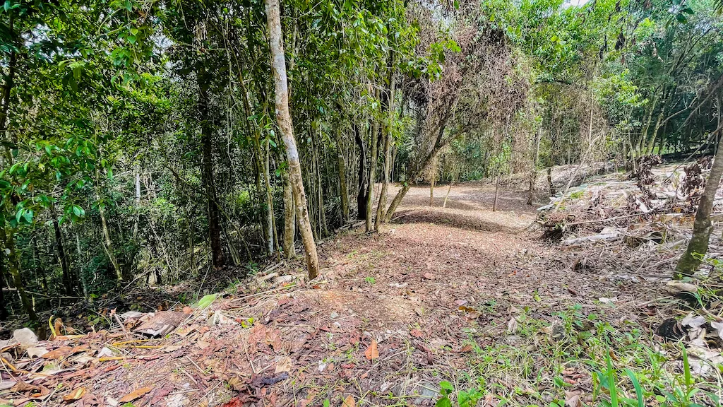 8.4 ACRE PROPERTY WITH COMMERCIAL AND RESIDENCIAL USE IN OJOCHAL, photo 6