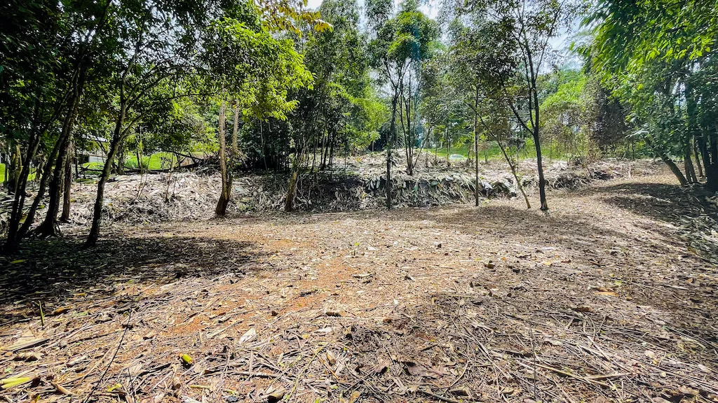 8.4 ACRE PROPERTY WITH COMMERCIAL AND RESIDENCIAL USE IN OJOCHAL, photo 7
