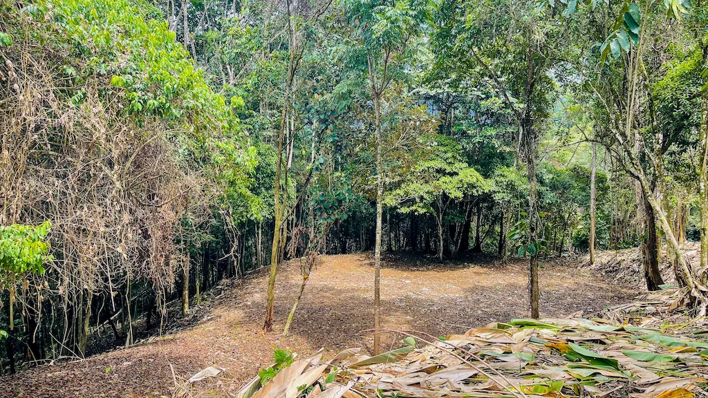 8.4 ACRE PROPERTY WITH COMMERCIAL AND RESIDENCIAL USE IN OJOCHAL, photo 8