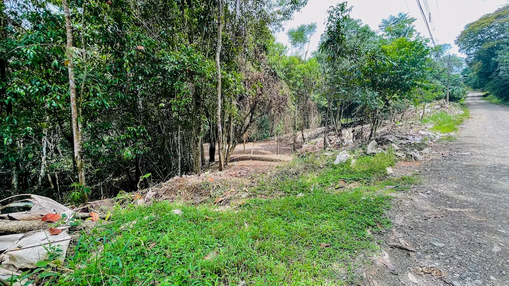 8.4 ACRE PROPERTY WITH COMMERCIAL AND RESIDENCIAL USE IN OJOCHAL, photo 9