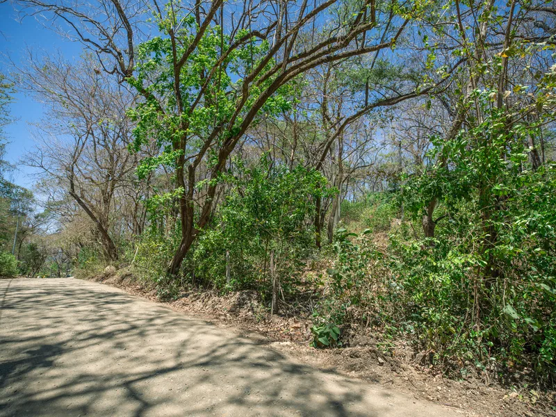 Land For Sale in Nosara, photo 2