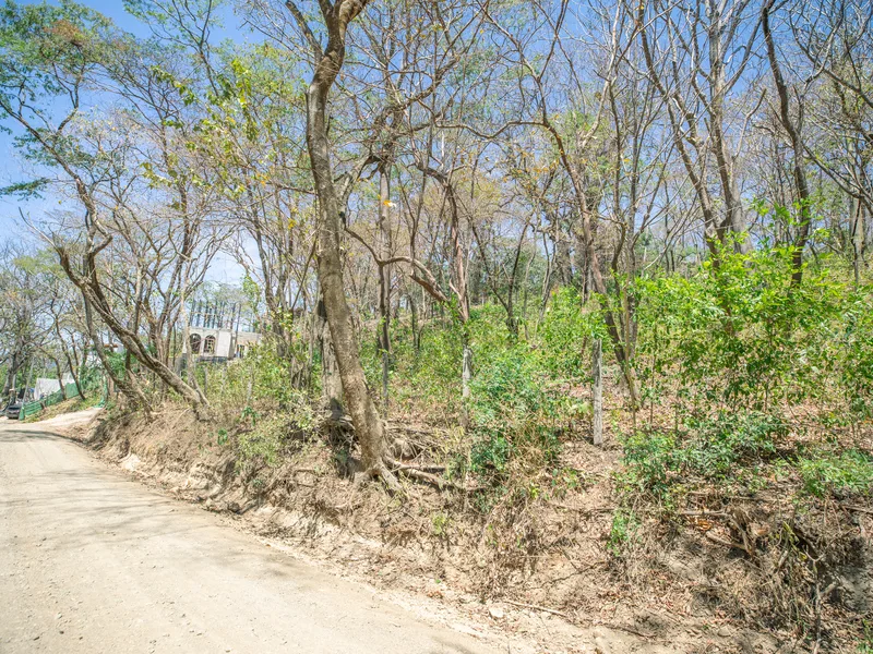 Land For Sale in Nosara, photo 4
