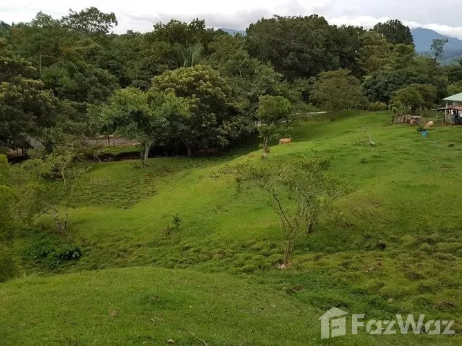 Land for Sale in Puriscal, San Jose for $1,150,000, photo 7