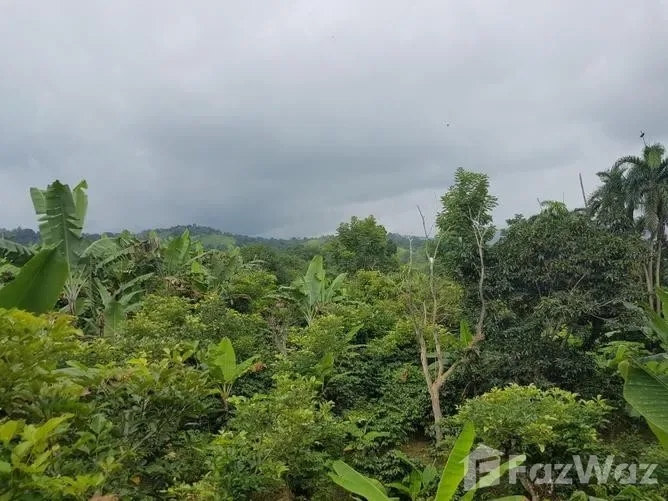 Land for Sale in Puriscal, San Jose for $1,150,000, photo 8