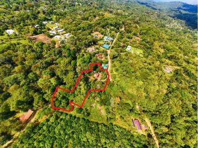 Serene Jungle Home + Guest Cabin on 3 Acres and River, photo 2
