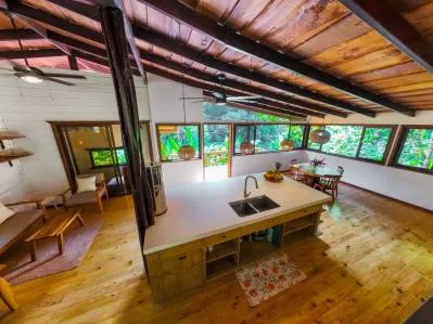 Serene Jungle Home + Guest Cabin on 3 Acres and River, photo 3