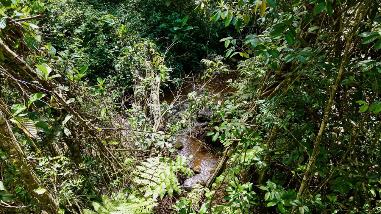 Beautiful Land for Sale in the heart of Santa Elena Near Waldorf School, photo 11
