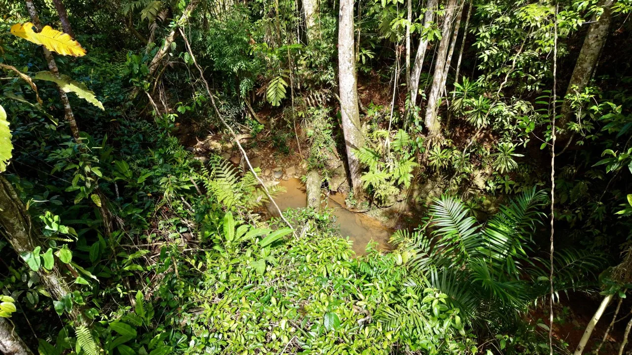 Beautiful Land for Sale in the heart of Santa Elena Near Waldorf School, photo 14