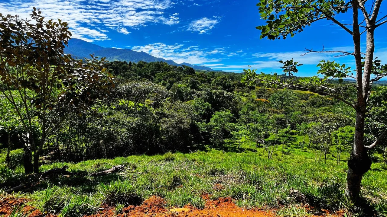 Beautiful Land for Sale in the heart of Santa Elena Near Waldorf School, photo 7
