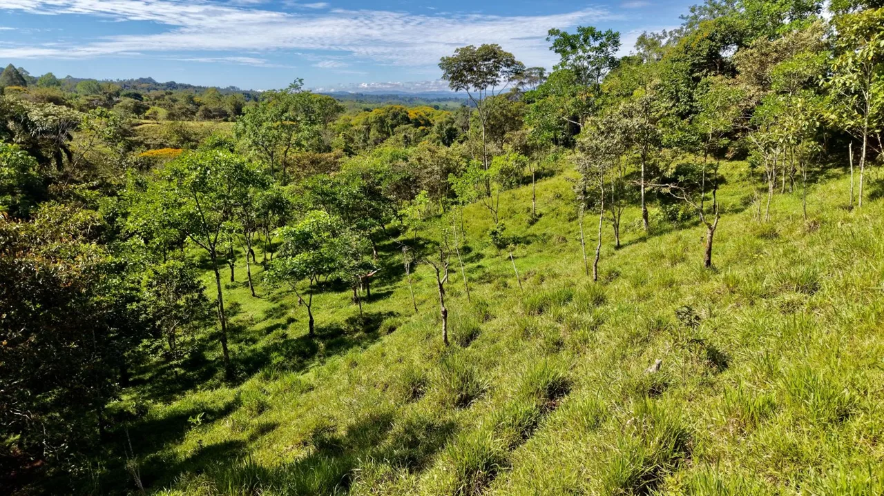 Beautiful Land for Sale in the heart of Santa Elena Near Waldorf School, photo 9