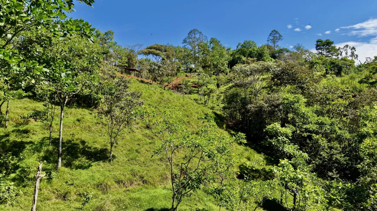 Beautiful Land for Sale in the heart of Santa Elena Near Waldorf School, photo 10
