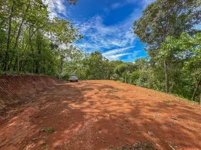 Lote con jungla y arroyo en comunidad cerrada en Ojochal, photo 4