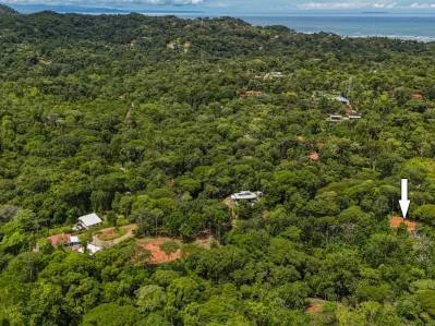 Lote con jungla y arroyo en comunidad cerrada en Ojochal, photo 9