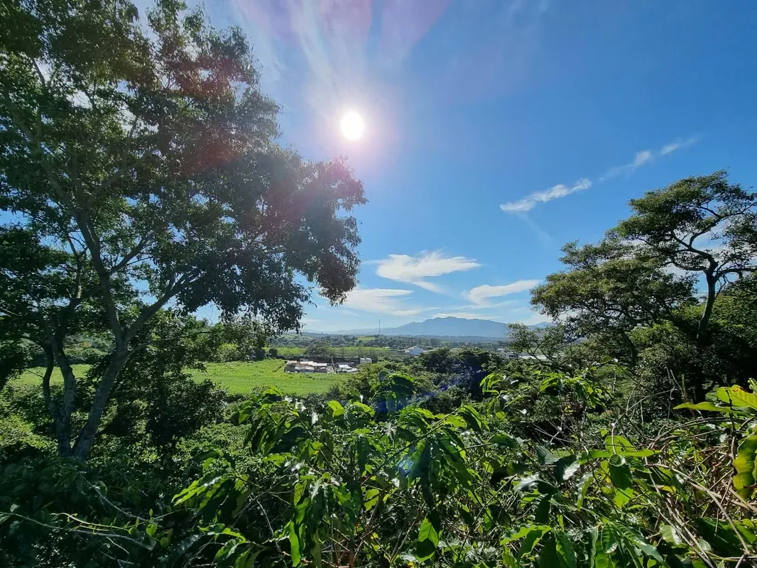 FOR SALE - FINCA FOR RESIDENTIAL DEVELOPMENT – TACARES DE GRECIA
