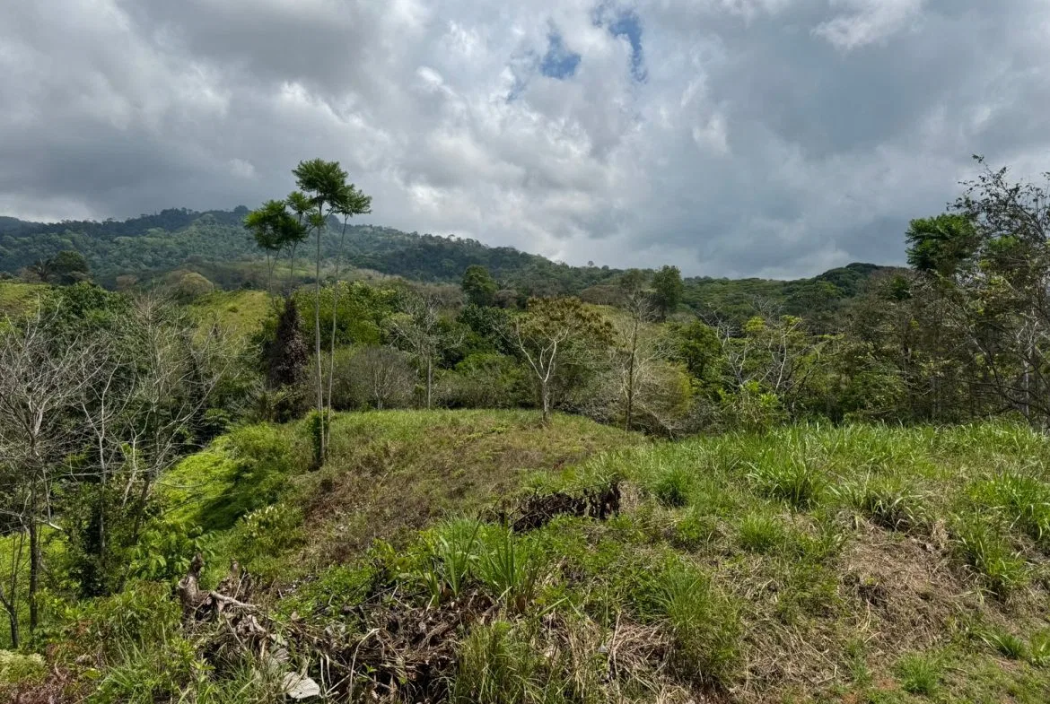 PROPERTY WITH MOUNTAIN VIEW, IN CHONTALES – 2.5 ACRES, photo 2